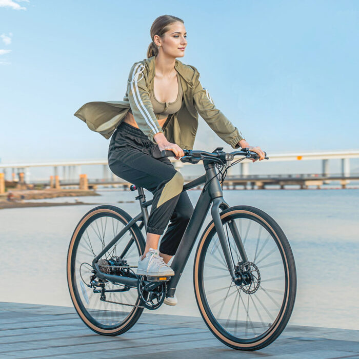 Fiido C21 E-gravel & city E-bike