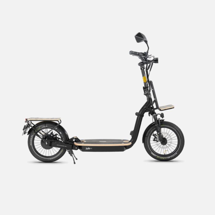 Swifty GO GT500 Stand-On Moped