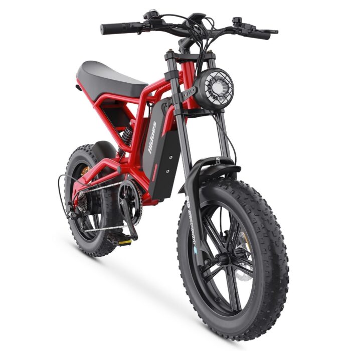 Hidoes® B6 Fat Tyre Electric Bike